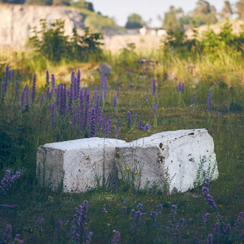 Betongblock bland försommarblommor på Bungenäs